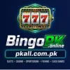 Bingopk game
