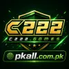 C222 Game