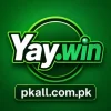YayWin Game